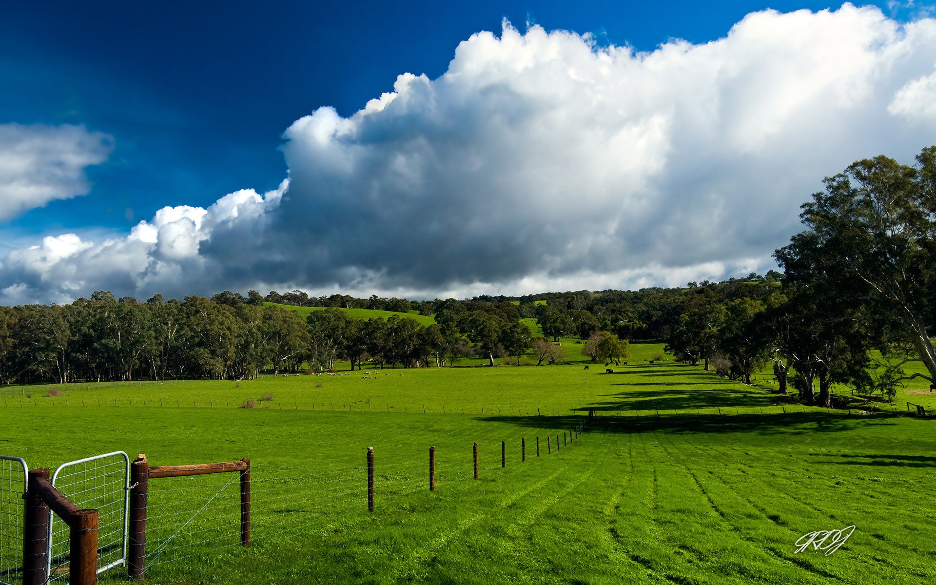 nuages champ jardin