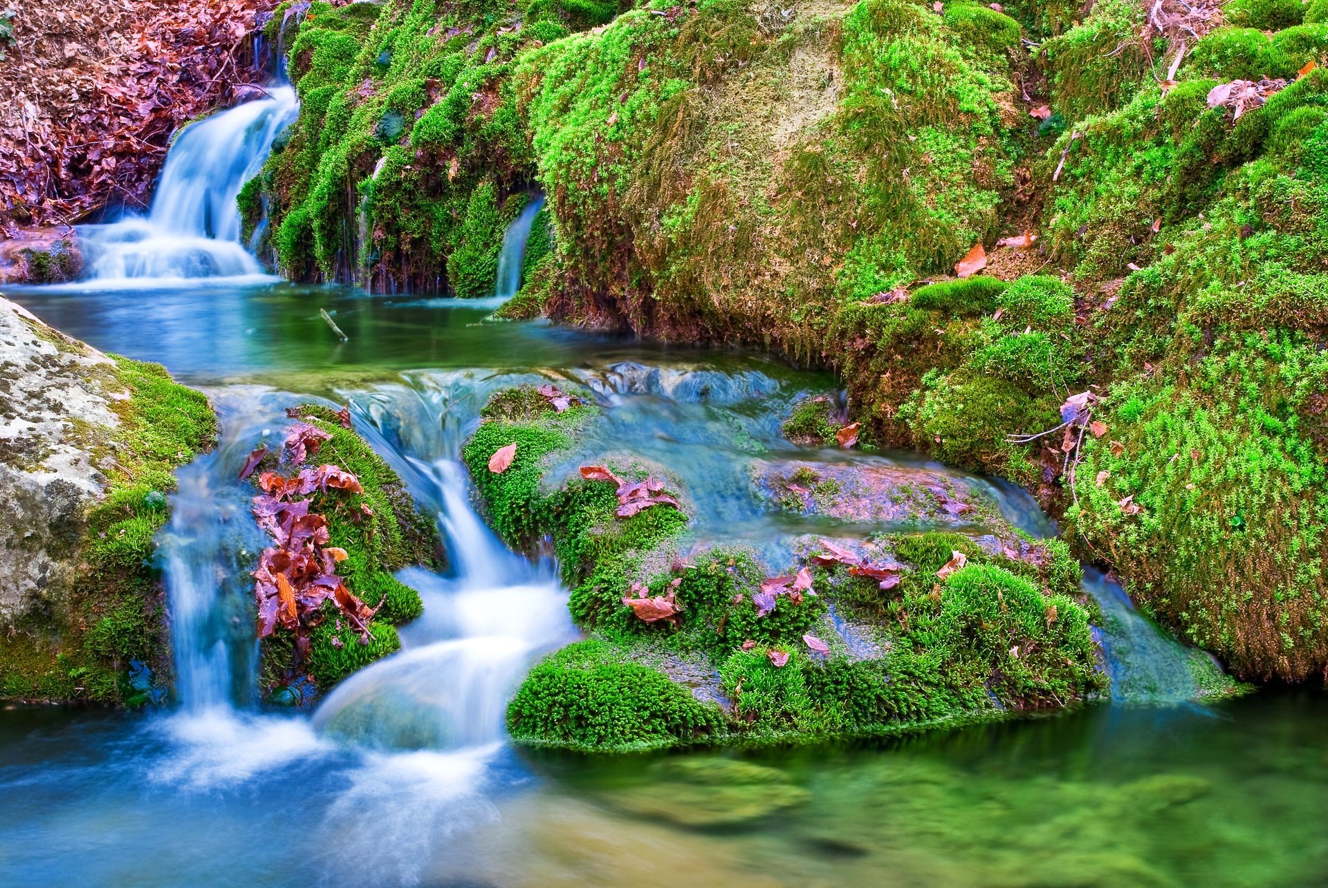 river stones moss leave