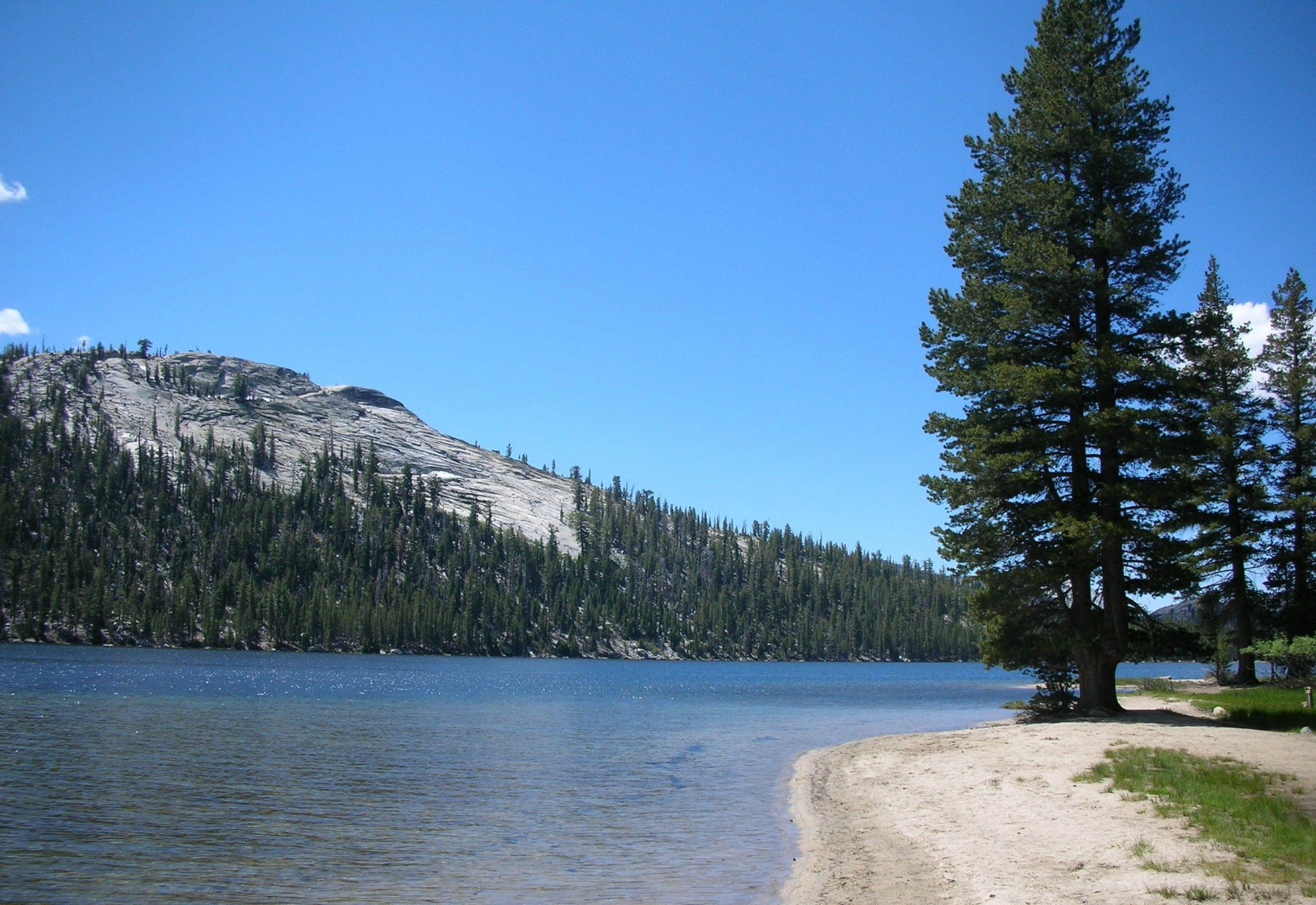 berge wald fluss natur yosemite nationalpark