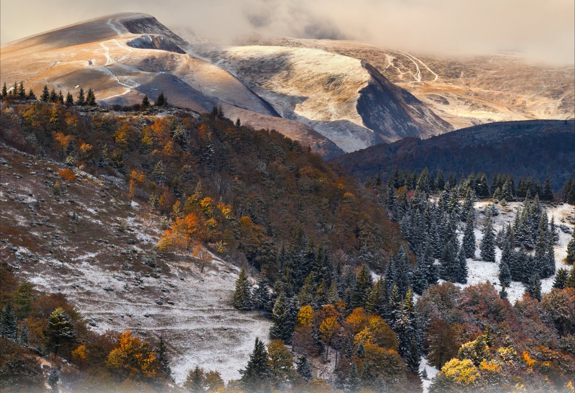 berge schnee wald wolken