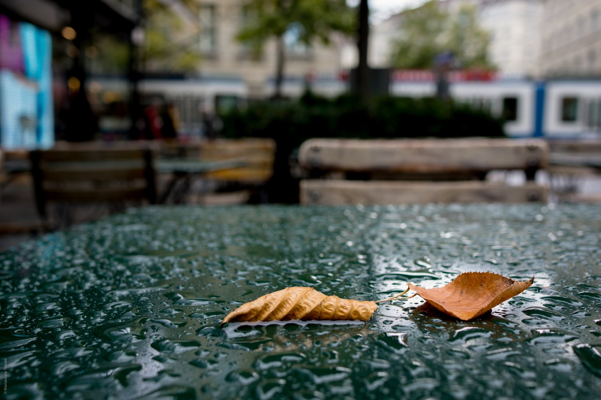 feuilles automne pluie gouttes café table ville