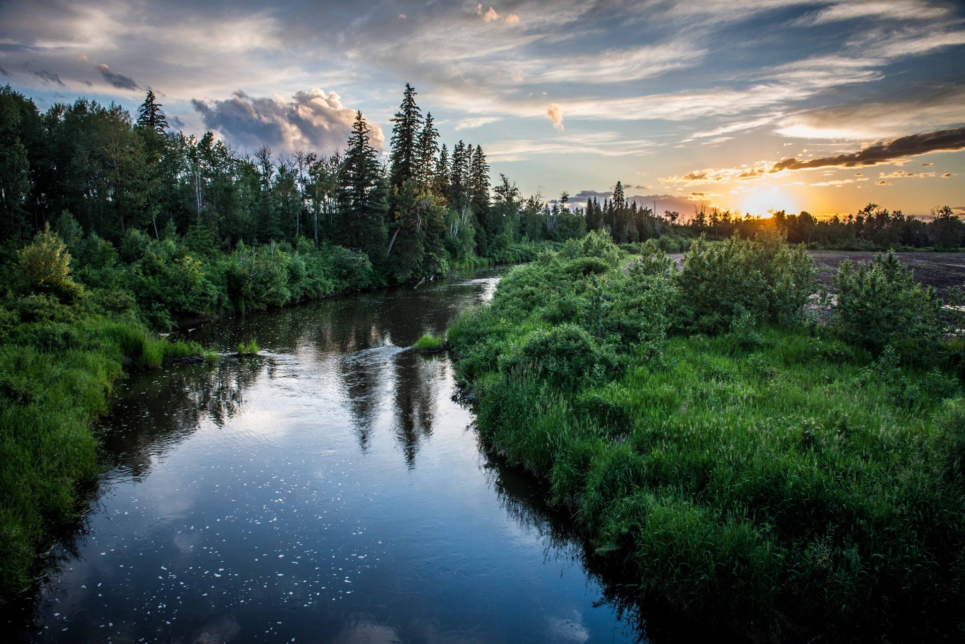 árboles río tarde puesta de sol