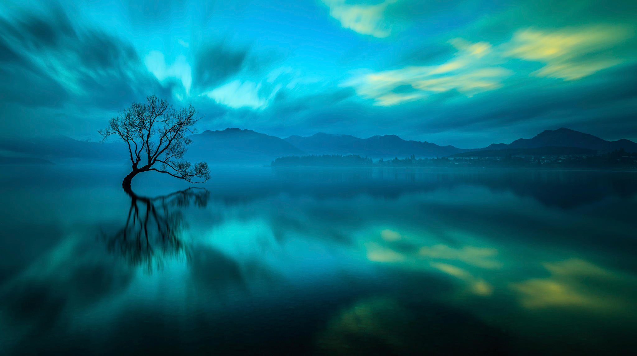 wanaka nueva zelanda lago árbol