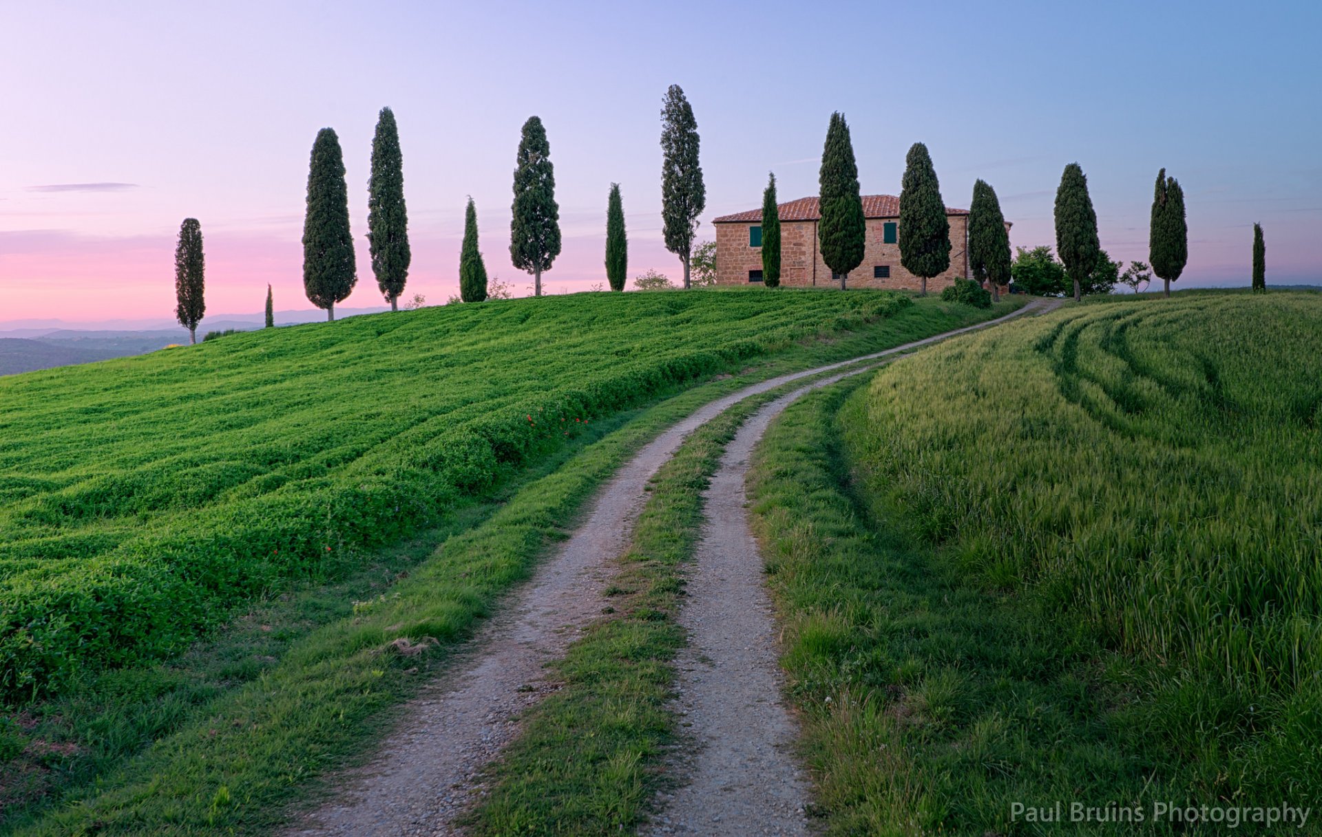 italia toscana camino camino hierba árboles cipreses tarde rosa puesta de sol cielo nubes