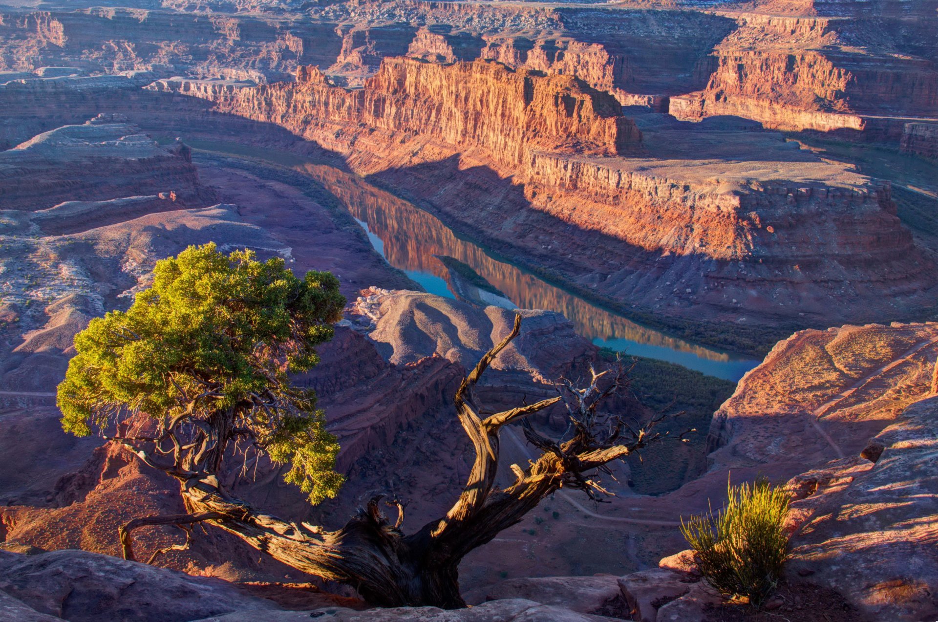 montagnes utah états-unis canyon rivière ensoleillé lumière arbre