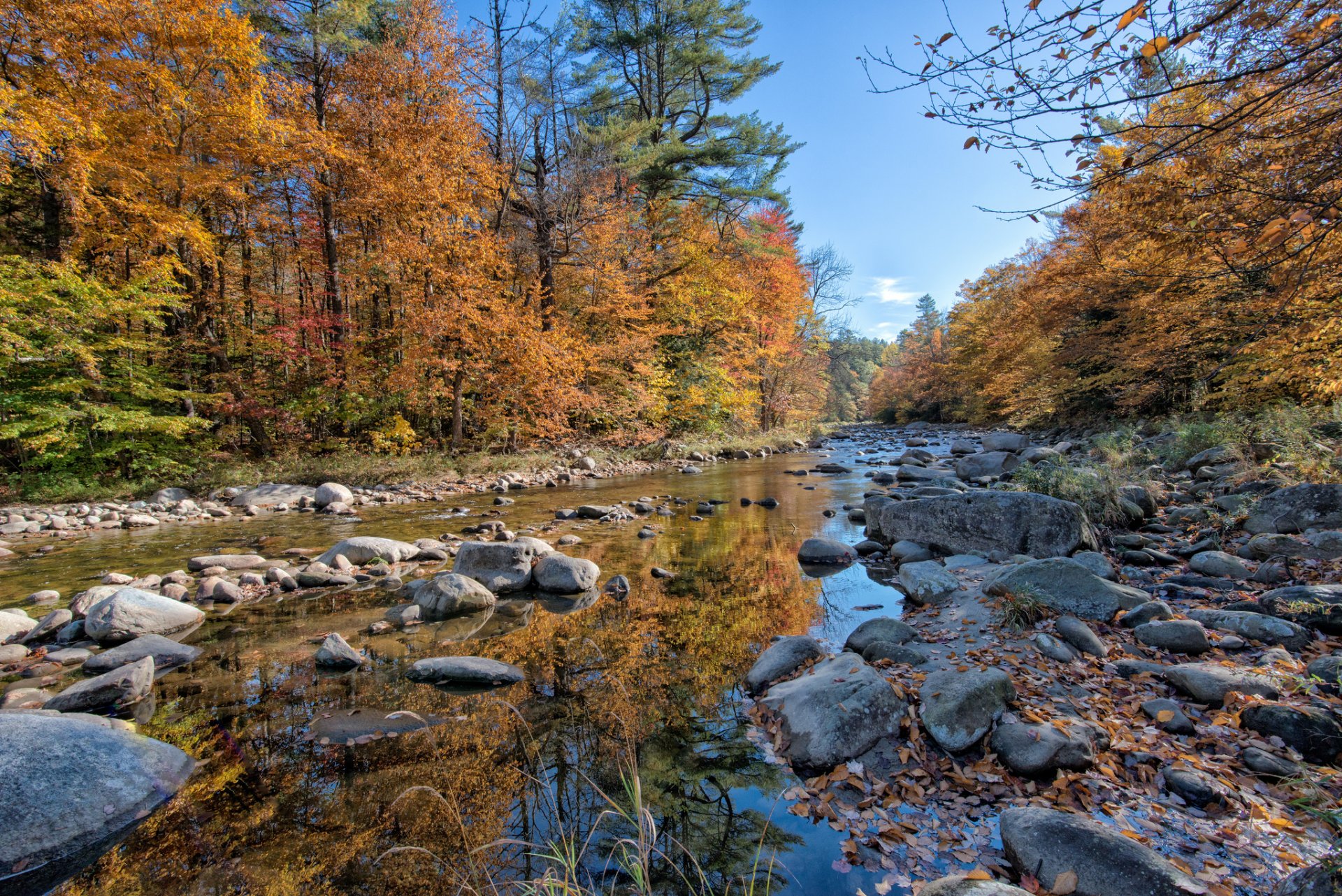 forêt rivière pierres automne