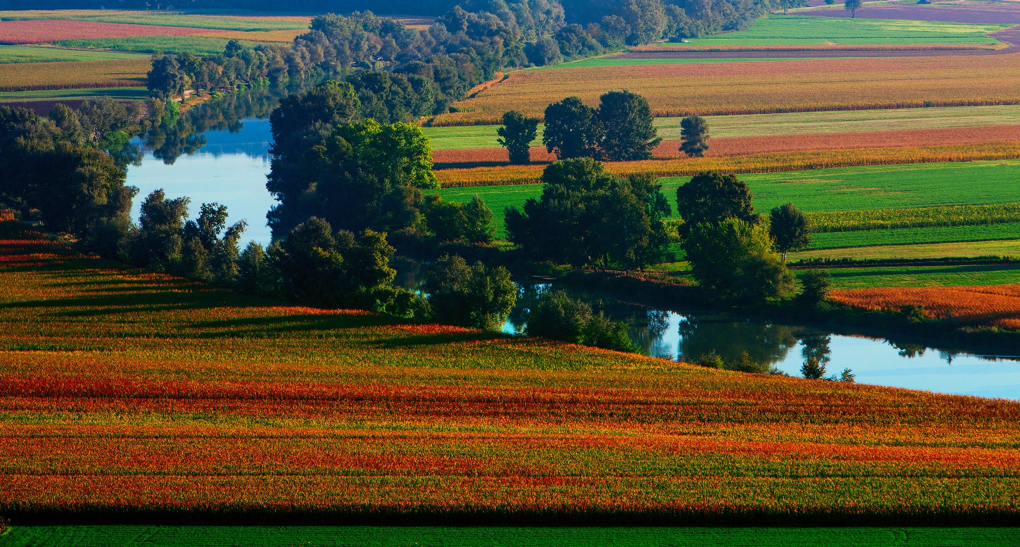 nature summer river of the field