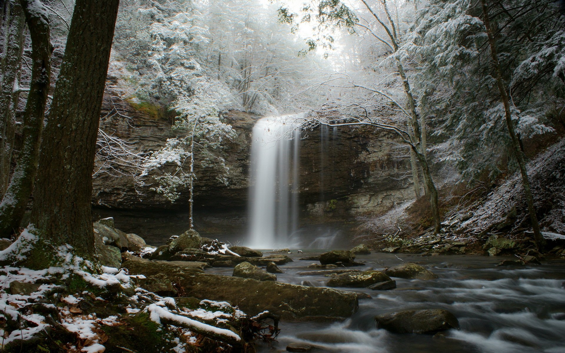 hiver forêt ruisseau cascade rivière neige givre