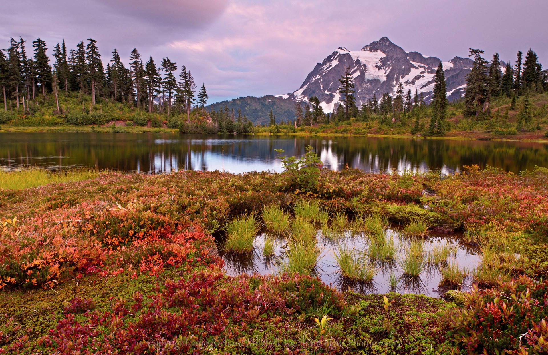 montagnes lac arbres fleurs marais herbe ciel nuages paysage