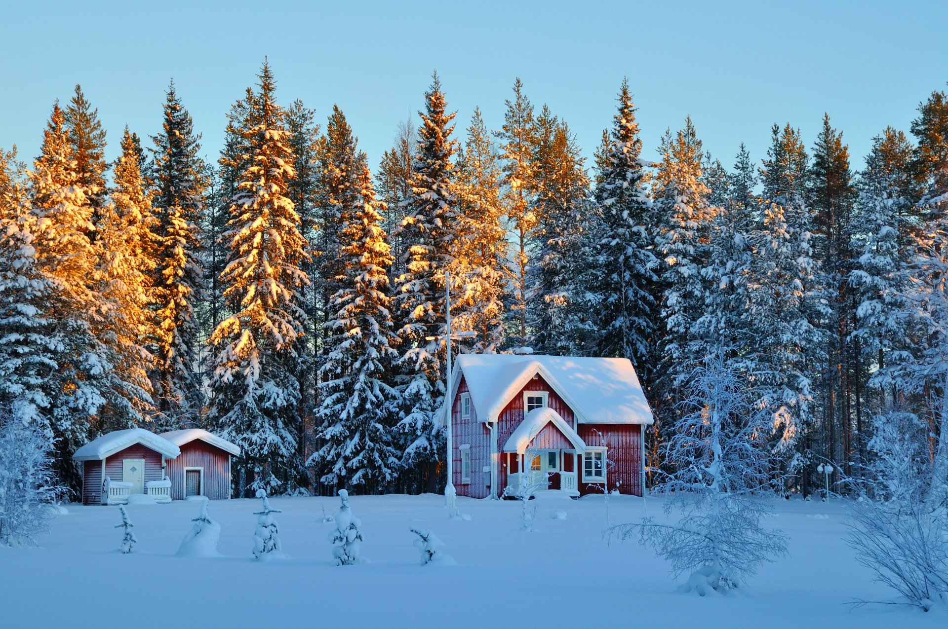 tree christmas tree houses snow winter