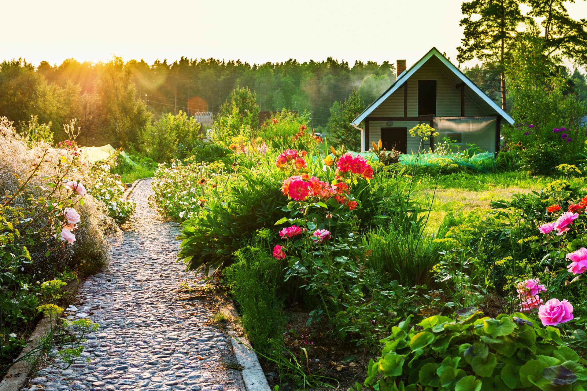 maison été fleurs passerelle soleil coucher de soleil