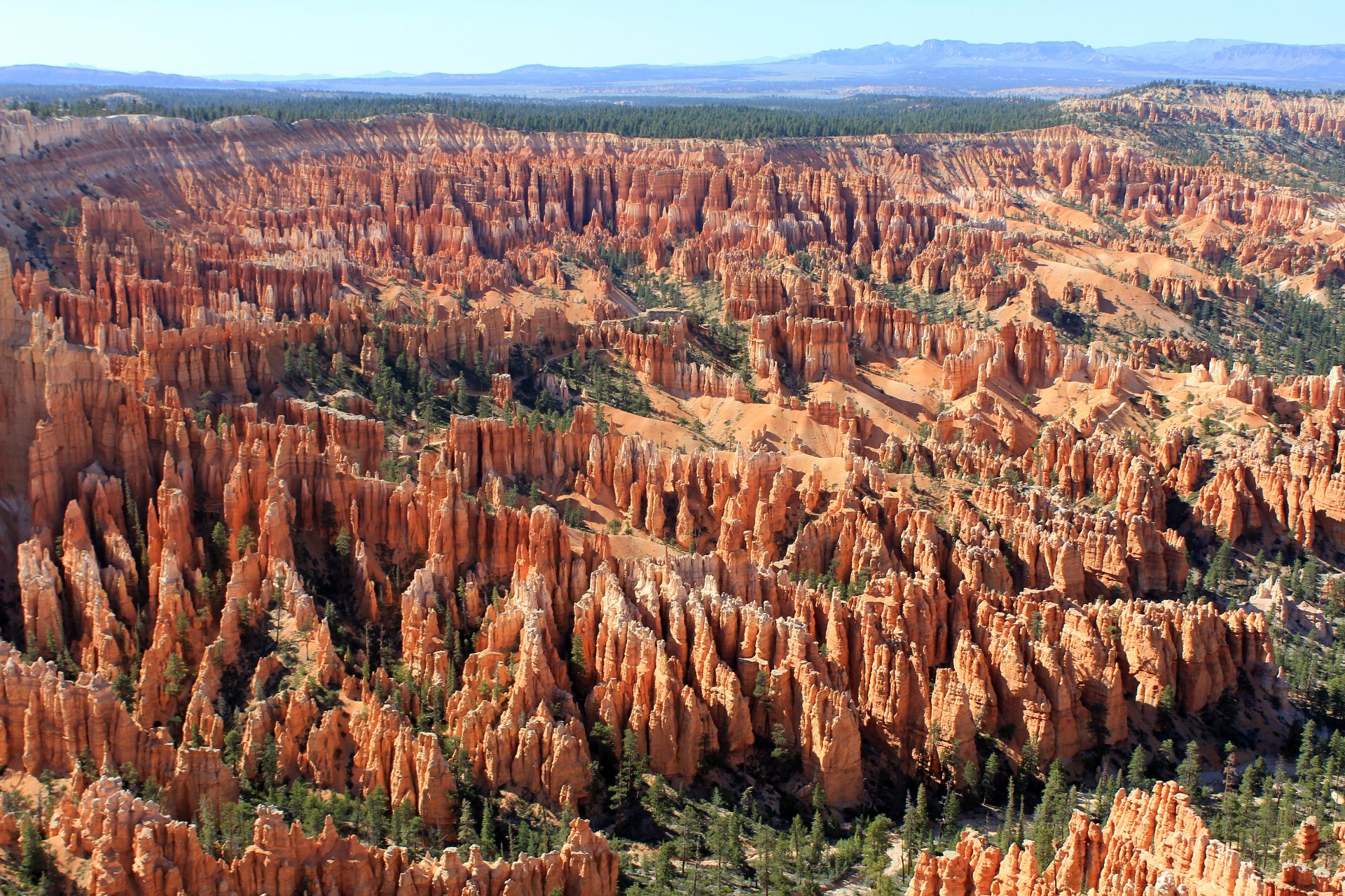 bryce canyon bryce canyon plateau de pountsaugant utah états-unis amphithéâtre naturel géant roches rouges oranges et blanches conifères