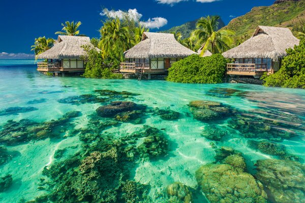 Beach houses in a tropical paradise