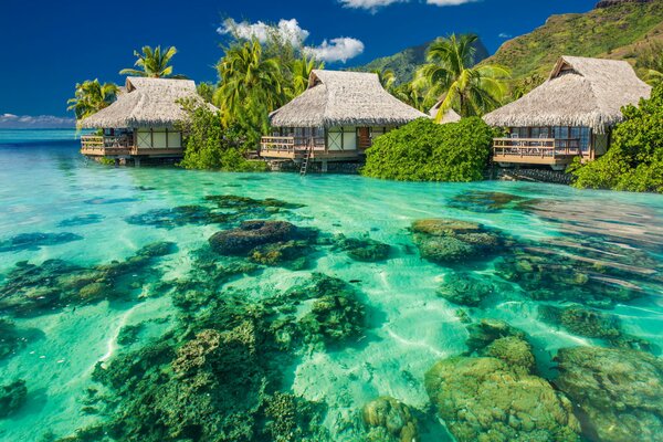 Maisons de plage dans un paradis tropical
