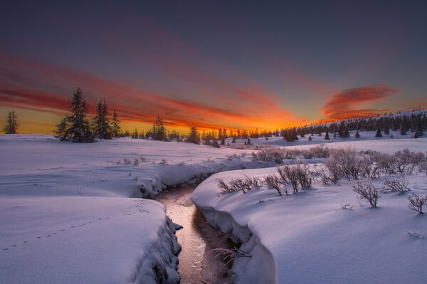 A narrow river in winter at dawn