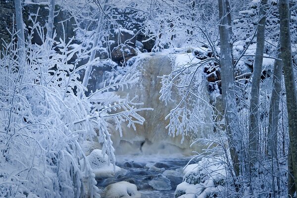 Rivière gelée dans la forêt enneigée