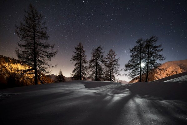 Natur unter Schnee in der Nacht im Winter