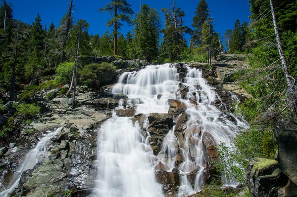 Wasserfall im Wald Natur