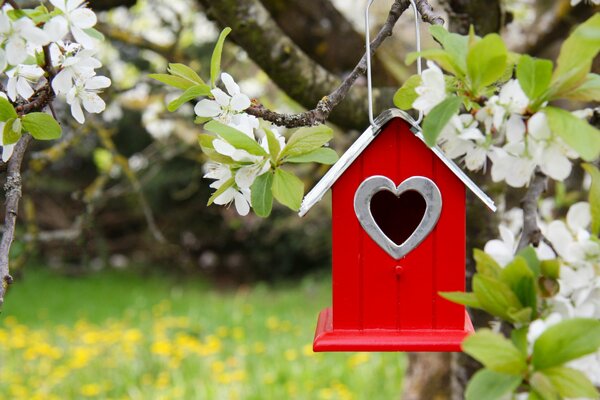 Red bird house hanging on a tree