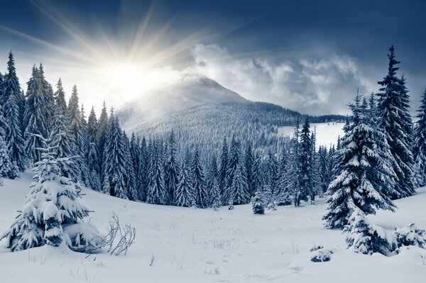 Los brillantes rayos del Sol y el paisaje de montaña de invierno