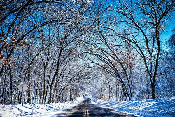 Strada attraverso la foresta invernale. Bello