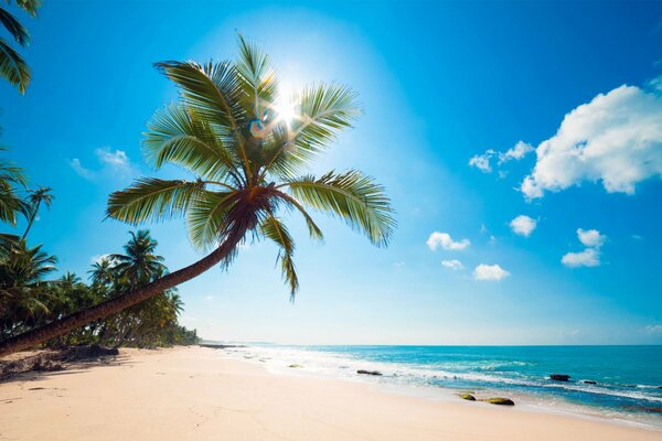 Spiaggia tropicale sull oceano