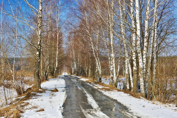 In primavera le strade sono sfocate