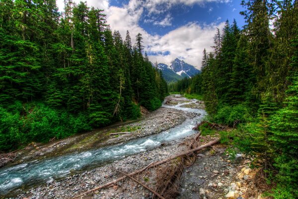 Belle rivière de montagne dans les nuages