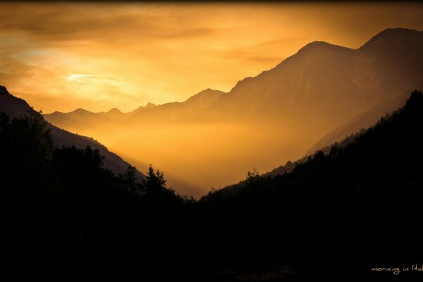 Aube dans les montagnes et le brouillard