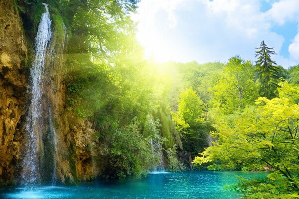 Sunny waterfall in a green forest