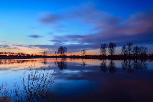 Reflection of trees on the surface of the river. Twilight landscape
