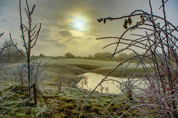 El sol de invierno y la orilla del estanque