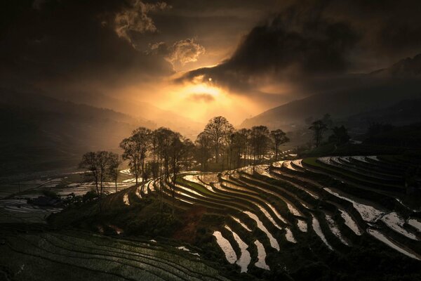 Sapa vietnamien avec le coucher du soleil tombant sur les arbres