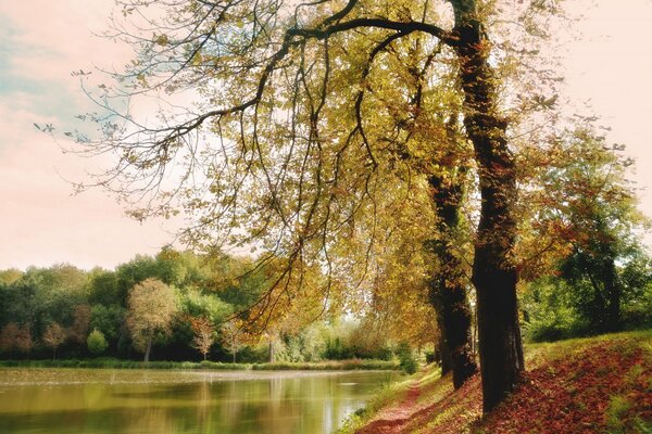 Jesienny park nad rzeką