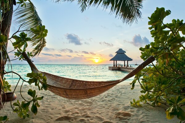 Hammock on a sandy beach on the ocean against the background of the setting sun