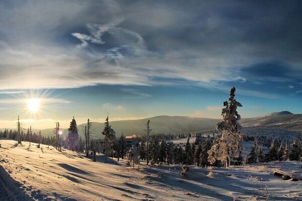 Winter sun on a mountain slope