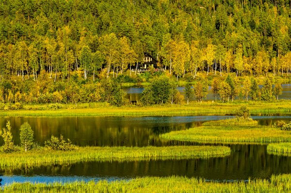 Le paysage unique de la nature de la Norvège