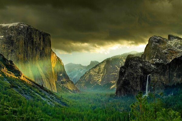 Montañas y bosques en el parque nacional de Yosemite