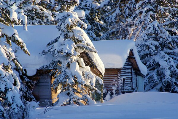 Casas cubiertas de nieve en el bosque. Comer en la nieve