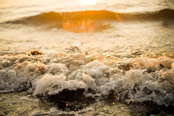 Riva del mare con le onde