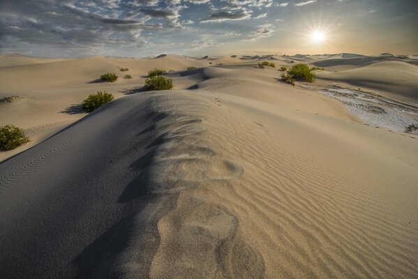 Wydmy piaskowe na cichej pustyni