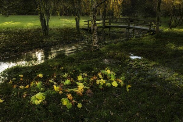 Modeste pont en bois sur un ruisseau étroit