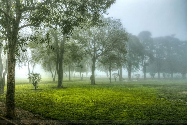 Hablar en la niebla se puede ver a sí mismo