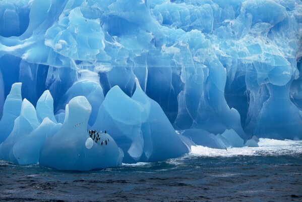 Pingüinos salen del mar para descansar en un glaciar