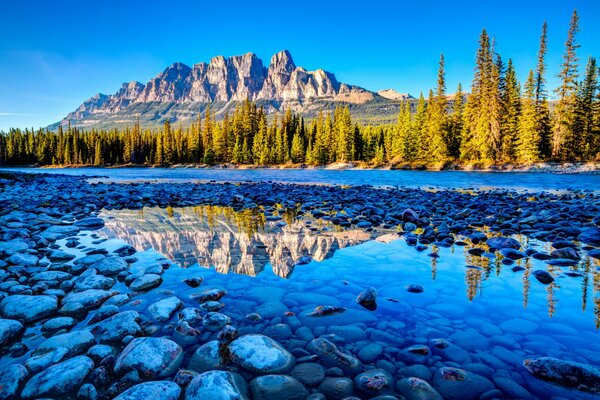 Lago, bosque y montaña. Hermosa naturaleza