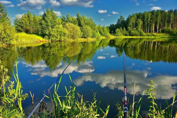 Fishing in nature lakes in the forest with fishing rods