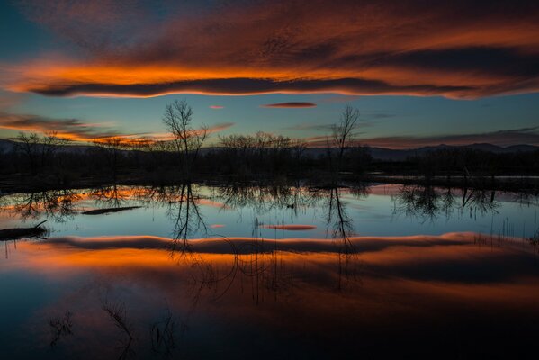 Natur in der Nacht in der Nähe des Sees bei Sonnenuntergang