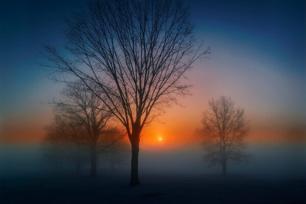 Autumn dawn in the fog