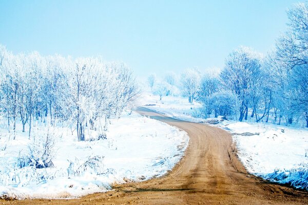 Percorso in inverno. Alberi innevati