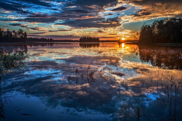 Reflexion von Bäumen und Himmel im Wasser